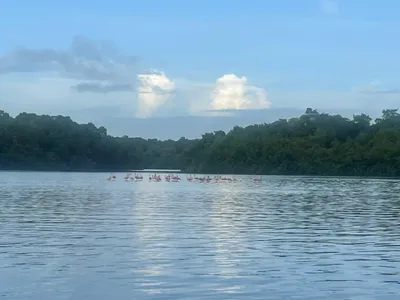 FIDEI Travel Moments